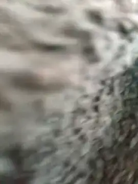 _Isabella-7 Live XXX Chat