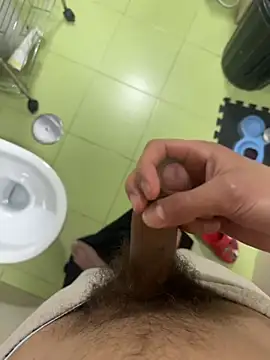 findomhotn Webbikameraesitys