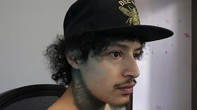 Show modela trieone na web-kameri