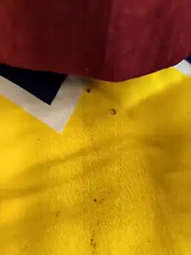 paro22_sex Obrolan Langsung XXX