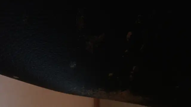 Chat +18 de EdelHolz91 ao vivo