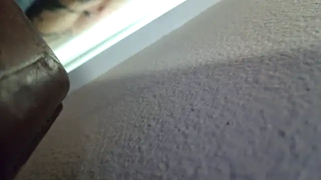 Huntzg23 Live XXX-Chat