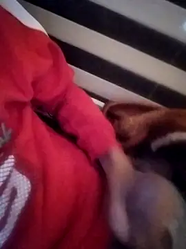 soft_hearted Webcam Show