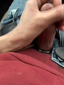 Show webcam de lawgik