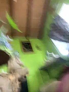 angelasm élő XXX-chatje