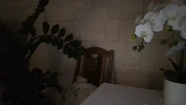 Živý XXX chat JuliaLovely