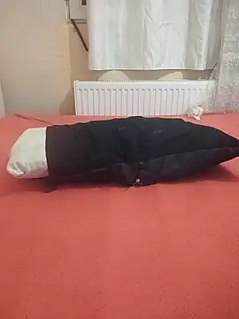 Chatroom XXX en direct de sevimlikelebek29