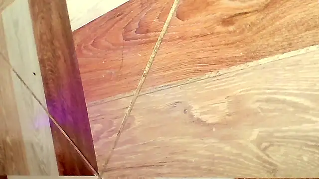 karol_kane Adlı Modelin Canlı XXX Sohbeti