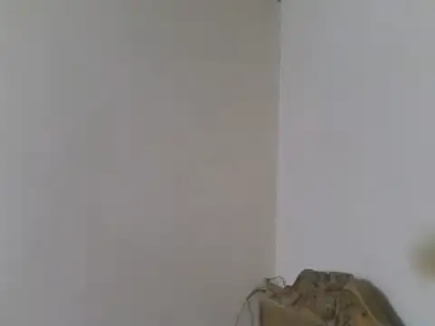 elpoop7305 Adlı Modelin Web Kamerası Şovu