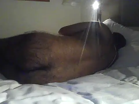 Chat XXX en directo de rarindam17