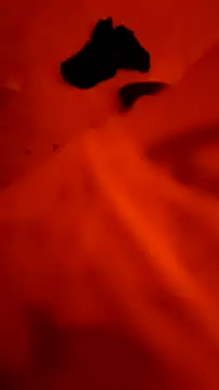 Mistress88893 即時 XXX 聊天