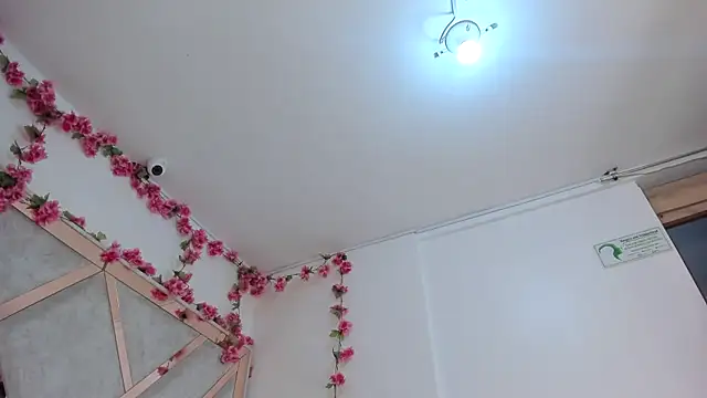 Geminis___ élő XXX-chatje