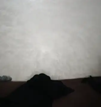 دردشة Sexy__Arab الجنسية المباشرة