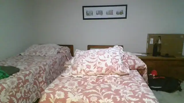 saint_not Pertunjukan Webcam