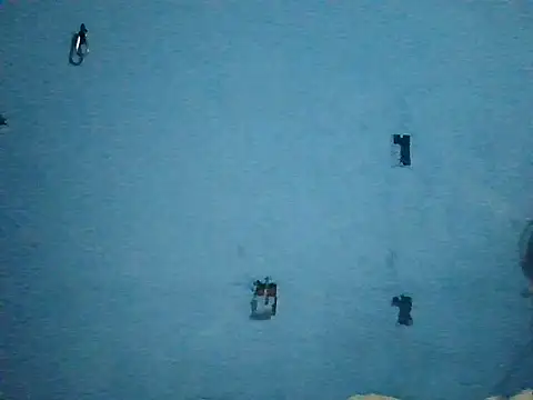 Chat +18 de Xaviervtg ao vivo