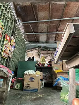 YANINA120 Live XXX Chat