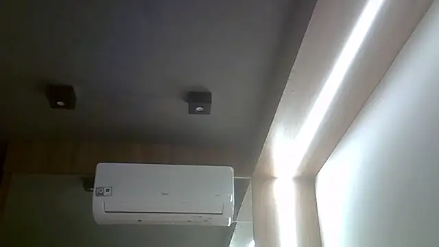 Show Webcam de SkinnyKitten