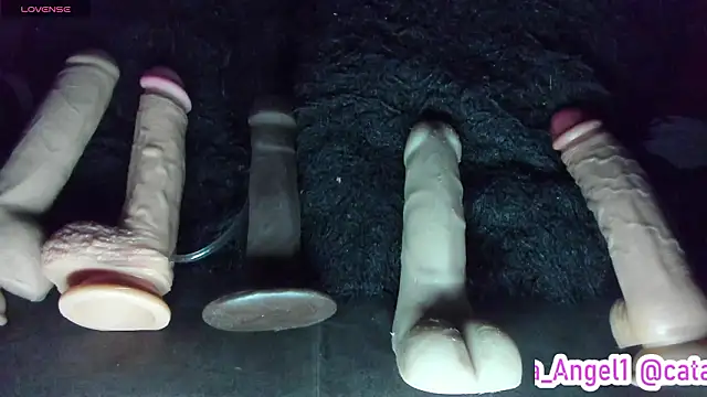 Cata-angel 现场XXX聊天