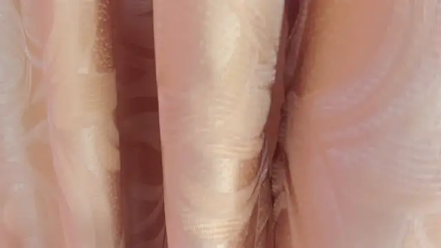 evelyn__rose1 live XXX chat