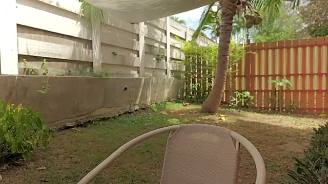 แชท XXX สดของ PocketElsa