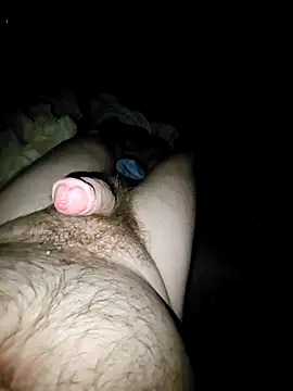 Show webcam de thefox92