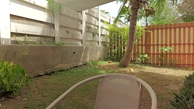 PocketElsa Chat XXX live