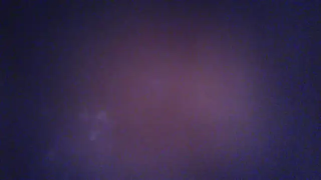 caronicole77 라이브 XXX 채팅