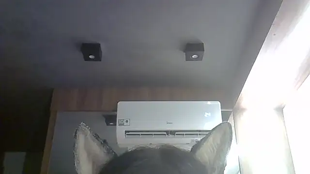 SkinnyKitten Chat XXX in diretta