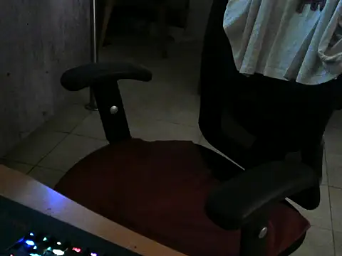 Show Webcam de charly2994