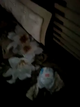 Gururonny07 在線直播表演