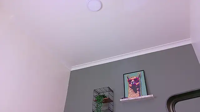 MrFox__ live XXX chat