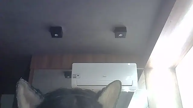 Chat XXX en directo de SkinnyKitten