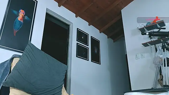 SilvaBranko's Live XXX Chat