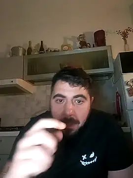 bear_skinnyn Webbikameraesitys