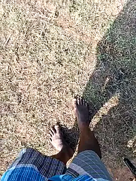 dolphiinn's Webcam Show