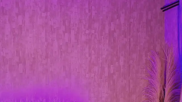 pixy_20's Webcam Show