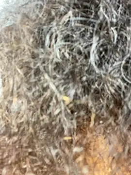 teddy04 Adlı Modelin Canlı XXX Sohbeti