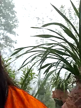 miomio-12 élő XXX-chatje