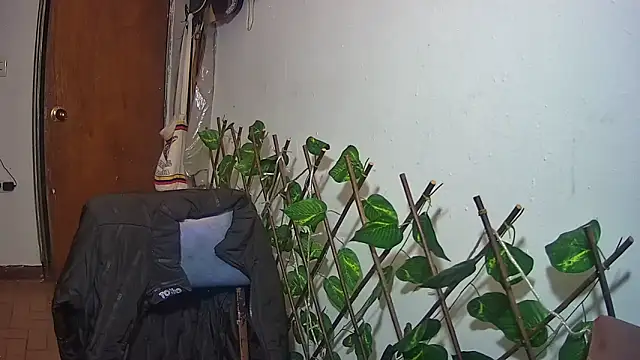 nicoltatiana_ élő XXX-chatje