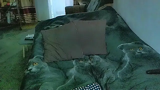 sex2 라이브 XXX 채팅