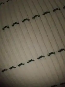 Chat +18 de XxX_KING30 ao vivo