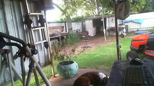 Chat +18 de herbie010666 ao vivo