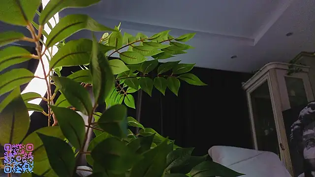 SoniaScott: онлайн-секс-чат