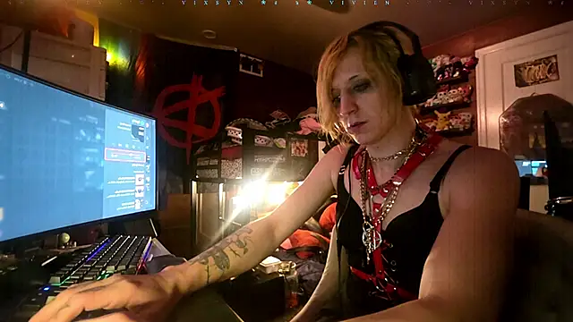 Show webcam de VieVixSyn