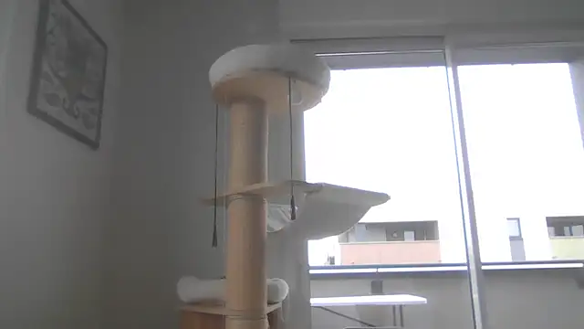 sexy007sexy webcam show