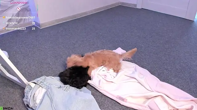 Chat XXX ao vivo de Aria_Mila