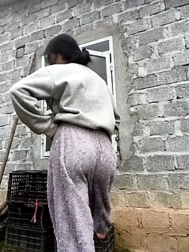 Hoa-tuylipn Webbikameraesitys