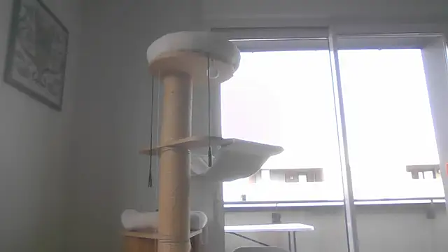 sexy007sexy Live XXX Chat