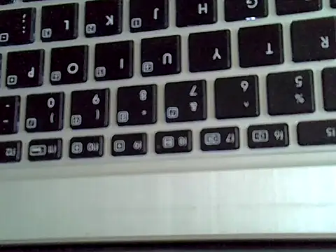 Delicious-D webkamerás műsora