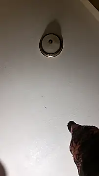 Вебкам-шоу Tyty86866